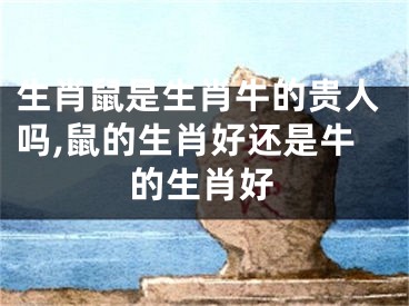 生肖鼠是生肖牛的贵人吗,鼠的生肖好还是牛的生肖好