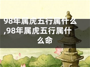 98年属虎五行属什么,98年属虎五行属什么命