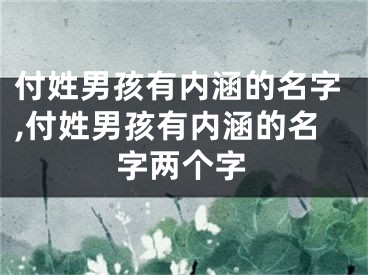 付姓男孩有内涵的名字,付姓男孩有内涵的名字两个字