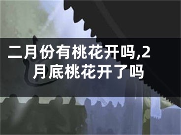 二月份有桃花开吗,2月底桃花开了吗