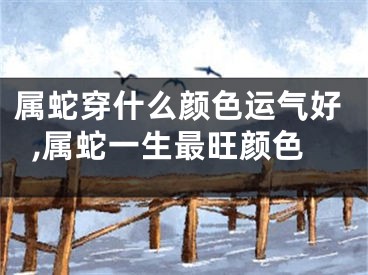 属蛇穿什么颜色运气好,属蛇一生最旺颜色