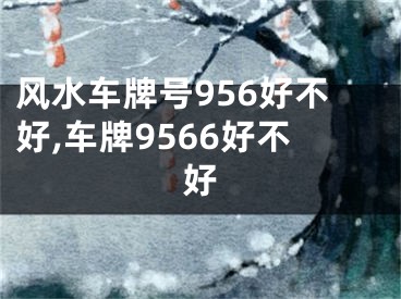 风水车牌号956好不好,车牌9566好不好