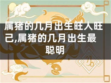 属猪的几月出生旺人旺己,属猪的几月出生最聪明