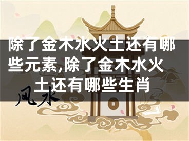 除了金木水火土还有哪些元素,除了金木水火土还有哪些生肖