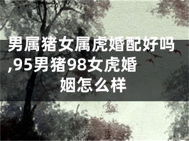 男属猪女属虎婚配好吗,95男猪98女虎婚姻怎么样