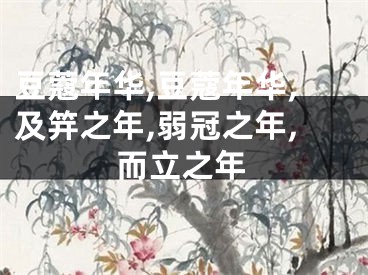 豆蔻年华,豆蔻年华,及笄之年,弱冠之年,而立之年