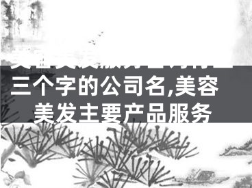 美容美发服务咨询行业三个字的公司名,美容美发主要产品服务