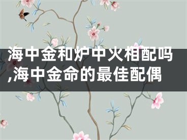 海中金和炉中火相配吗,海中金命的最佳配偶