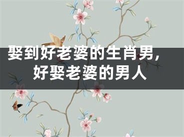 娶到好老婆的生肖男,好娶老婆的男人