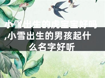 小雪出生的虎宝宝好吗,小雪出生的男孩起什么名字好听