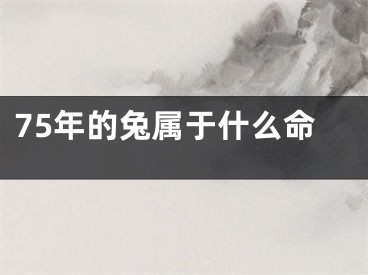 75年的兔属于什么命