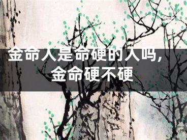 金命人是命硬的人吗,金命硬不硬