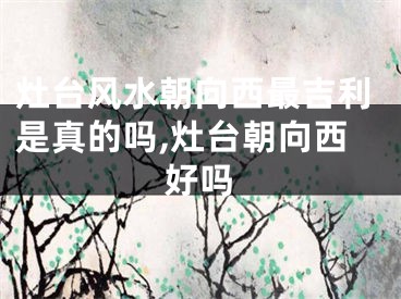 灶台风水朝向西最吉利是真的吗,灶台朝向西好吗