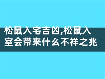 松鼠入宅吉凶,松鼠入室会带来什么不祥之兆