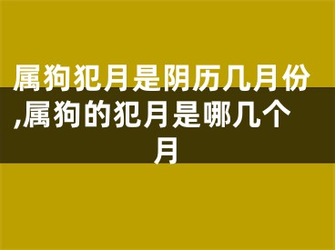 属狗犯月是阴历几月份,属狗的犯月是哪几个月
