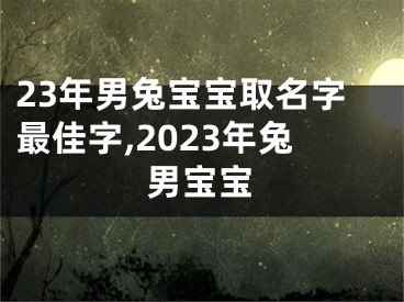 23年男兔宝宝取名字最佳字,2023年兔男宝宝