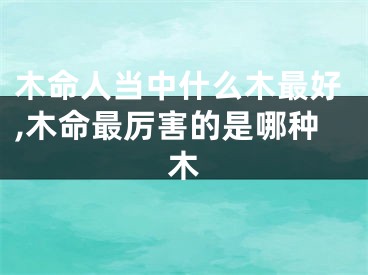 木命人当中什么木最好,木命最厉害的是哪种木