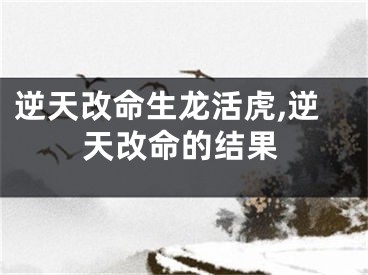 逆天改命生龙活虎,逆天改命的结果