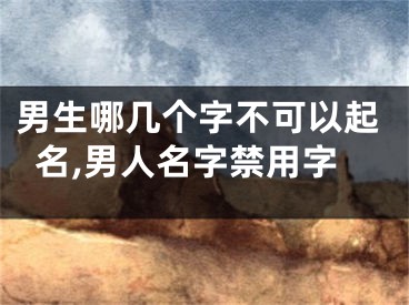男生哪几个字不可以起名,男人名字禁用字