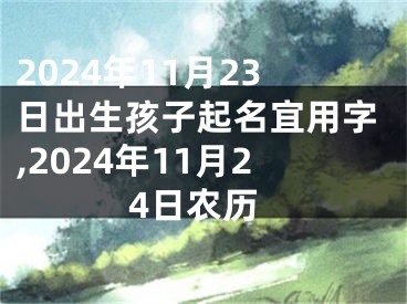 2024年11月23日出生孩子起名宜用字,2024年11月24日农历