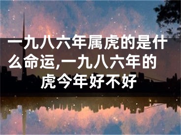 一九八六年属虎的是什么命运,一九八六年的虎今年好不好