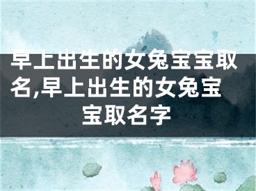 早上出生的女兔宝宝取名,早上出生的女兔宝宝取名字