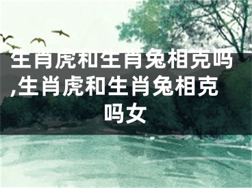 生肖虎和生肖兔相克吗,生肖虎和生肖兔相克吗女