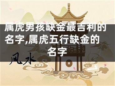 属虎男孩缺金最吉利的名字,属虎五行缺金的名字