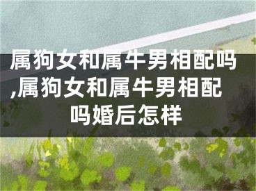 属狗女和属牛男相配吗,属狗女和属牛男相配吗婚后怎样
