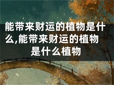 能带来财运的植物是什么,能带来财运的植物是什么植物