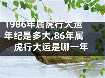 1986年属虎行大运年纪是多大,86年属虎行大运是哪一年