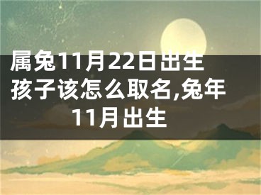 属兔11月22日出生孩子该怎么取名,兔年11月出生