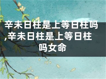 辛未日柱是上等日柱吗,辛未日柱是上等日柱吗女命