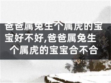 爸爸属兔生个属虎的宝宝好不好,爸爸属兔生个属虎的宝宝合不合