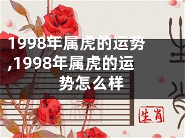 1998年属虎的运势,1998年属虎的运势怎么样