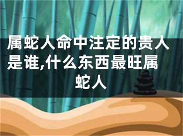 属蛇人命中注定的贵人是谁,什么东西最旺属蛇人