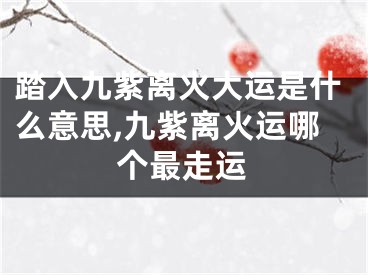 踏入九紫离火大运是什么意思,九紫离火运哪个最走运