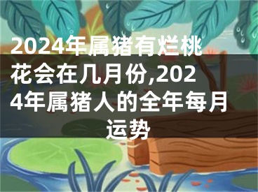 2024年属猪有烂桃花会在几月份,2024年属猪人的全年每月运势