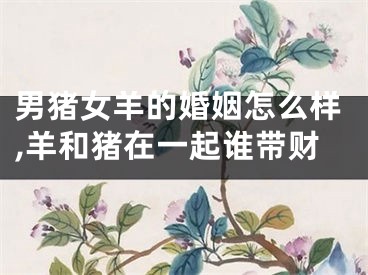 男猪女羊的婚姻怎么样,羊和猪在一起谁带财