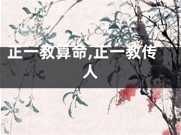 正一教算命,正一教传人