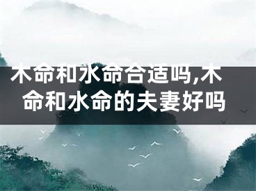 木命和水命合适吗,木命和水命的夫妻好吗