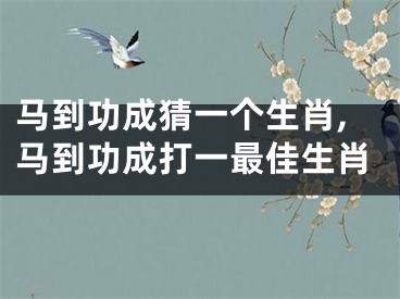 马到功成猜一个生肖,马到功成打一最佳生肖