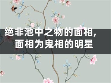 绝非池中之物的面相,面相为鬼相的明星