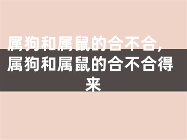 属狗和属鼠的合不合,属狗和属鼠的合不合得来