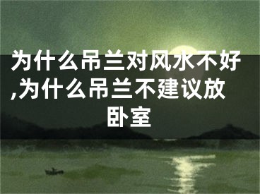 为什么吊兰对风水不好,为什么吊兰不建议放卧室