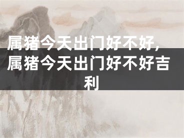 属猪今天出门好不好,属猪今天出门好不好吉利
