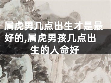 属虎男几点出生才是最好的,属虎男孩几点出生的人命好