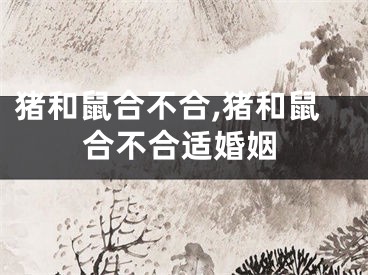 猪和鼠合不合,猪和鼠合不合适婚姻
