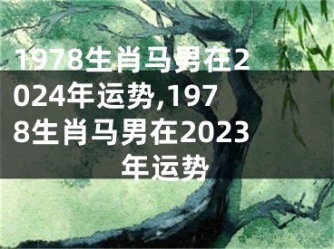 1978生肖马男在2024年运势,1978生肖马男在2023年运势