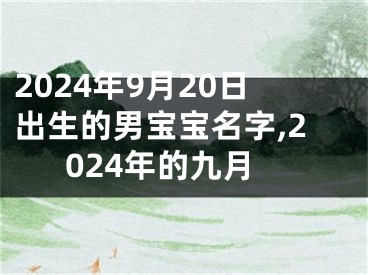 2024年9月20日出生的男宝宝名字,2024年的九月